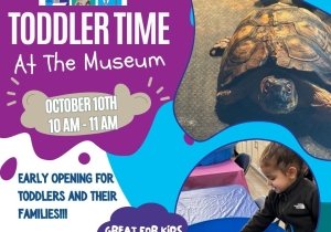 Toddler Time at the Museum