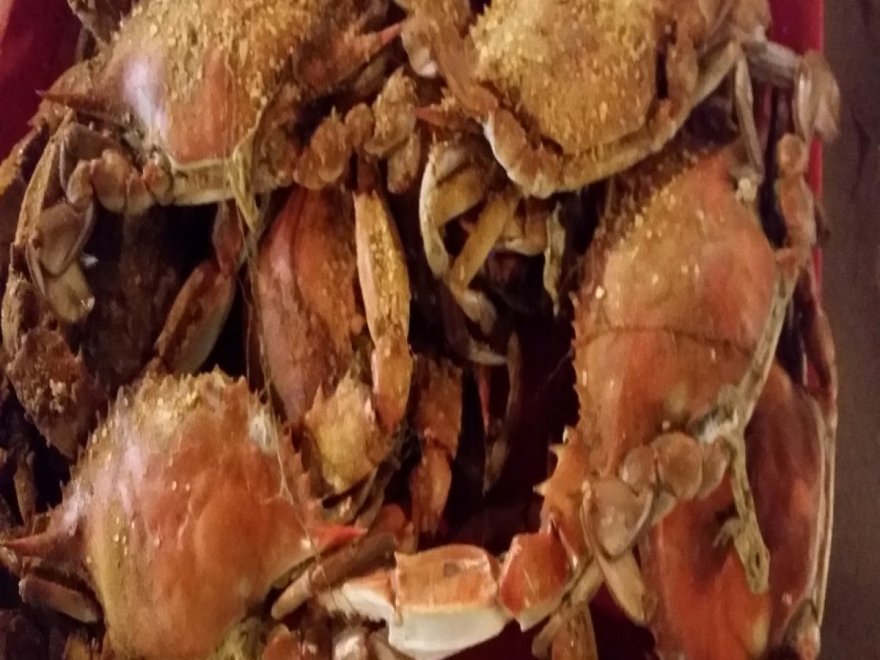 Crab Alley