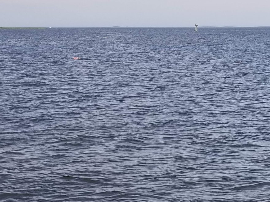 Public Landing Beach and Pier