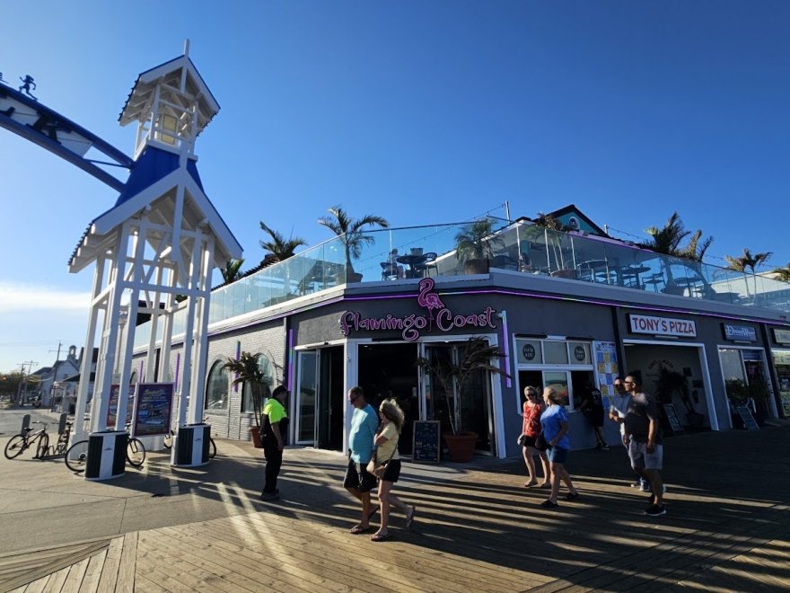 Flamingo Coast