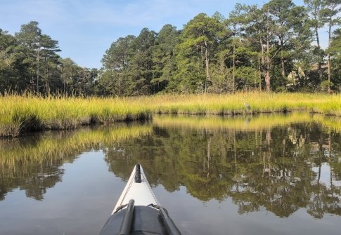 Ocean Pines: Walking Trails & Water Trails